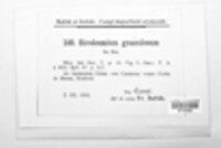 Image Associated With the Occurence